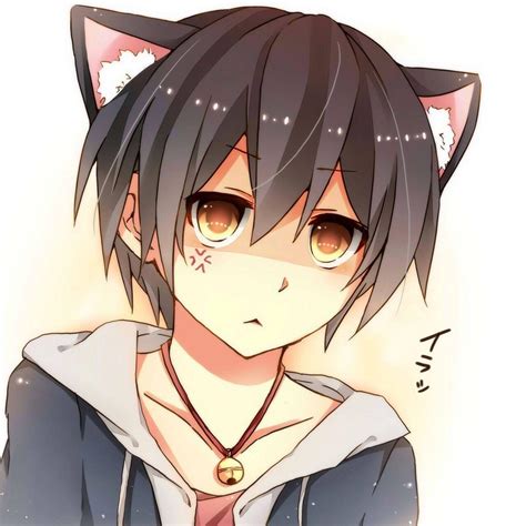 catboy anime|Top 10 Cat Boys In Anime .